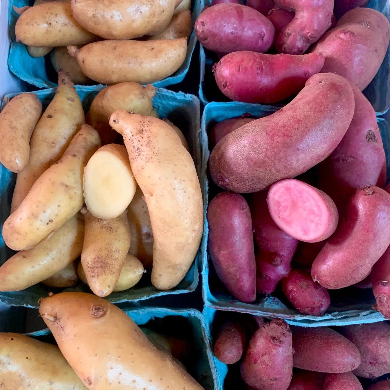 Man die voedingsadvies en inhoud over gezond eten schrijft