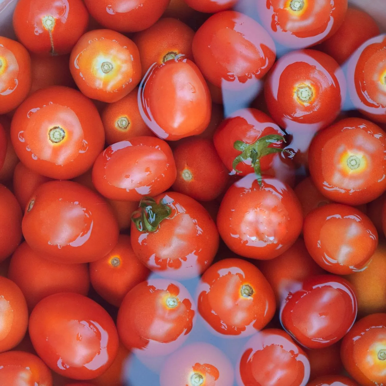 Kleurrijke ontbijtkom met yoghurt, vers fruit en havermout